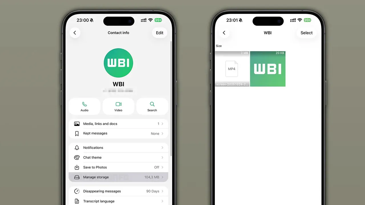 WhatsApp’tan hayat kurtaran yenilik: Depolama sorunu artık çok kolay çözülecek - Resim: 5