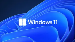 Windows 11 KB5055523 güncellemesinde saç baş yolduran "inetpub" hatası
