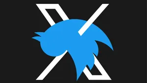 Twitter alan adı için yolu sonu: Peki kullanıcıları ilgilendiren ne var?