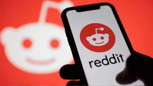 Son kale yıkıldı: Reddit'e ücretli abonelik geliyor- CEO tarih verdi