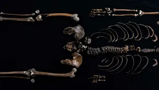 Bilim İnsanları Norveç’in ‘Sağlıklı Adamı’nın Gerçek Kimliğini Açığa Çıkardı