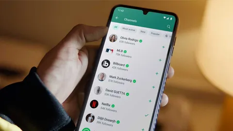 WhatsApp, Instagram'ın sevilen özelliğinine kavuşuyor: Artık durumlarda müzik kullanılabilecek